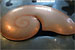 K2 gallery image 10