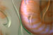 K2 gallery image 11